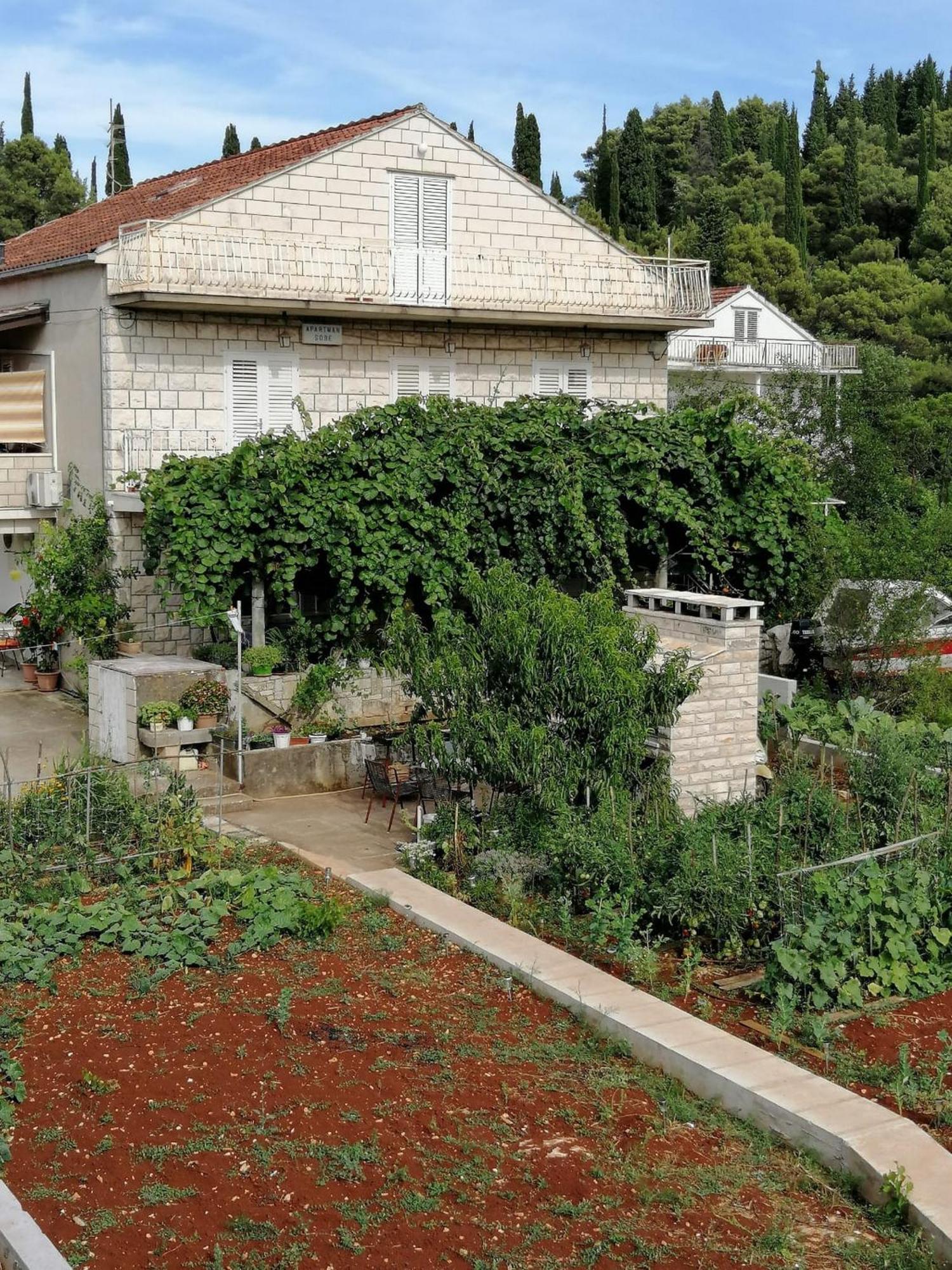 Apartments Marita Korčula Camera foto